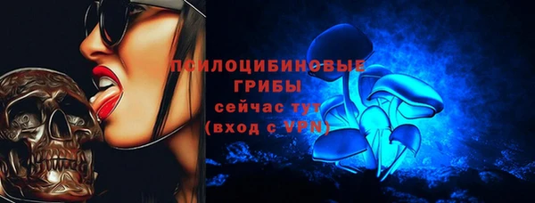 спиды Алексеевка