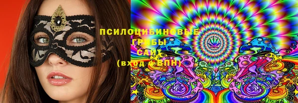 спиды Алексеевка