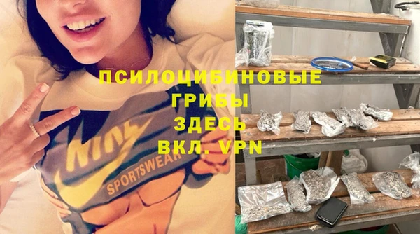 ГАЛЛЮЦИНОГЕННЫЕ ГРИБЫ Абинск