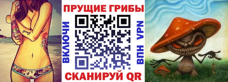 Псилоцибиновые грибы MAGIC MUSHROOMS  блэк спрут как войти  Мантурово 
